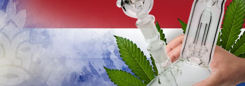  Des Pays Ouverts Au Cannabis : Pays-Bas